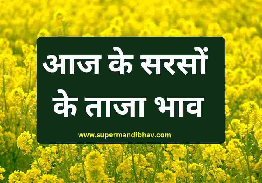 aaj ka sarso ka bhav: सरसों में उठापटक जारी देखें आज सभी मंडियों के ताजा भाव