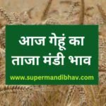 Wheat price todey, आज गेहूं का सभी मंडियों में क्या रहा रेट देखें एक क्लिक में,gehu ka bhav