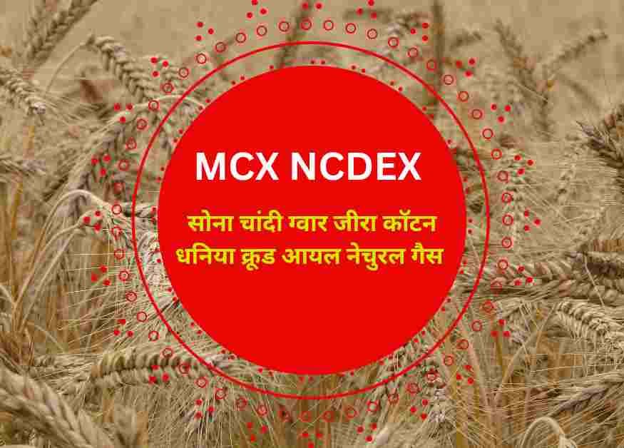 MCX NCDEX live Rate Today:ग्वार गम सोना चांदी धनियां जीरा कॉटन क्रूड ऑयल सभी का वायदा भाव