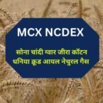 MCX NCDEX वायदा भाव में आज सोना चांदी ग्वार जीरा कॉटन का वायदा भाव