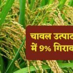 Increase in the price of rice:चावल के दाम क्यों एक ही साल में 9% तक बढ़ गए,जानिए क्या है असल वजह