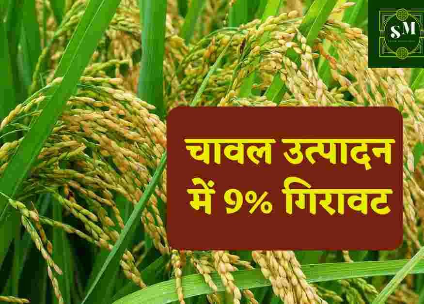 Increase in the price of rice:चावल के दाम क्यों एक ही साल में 9% तक बढ़ गए,जानिए क्या है असल वजह