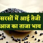 aaj ka sarso ka bhav, mustard Price Today