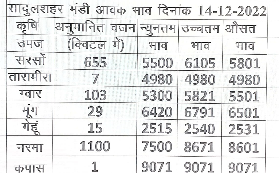 सरसों नरमा कपास में आया सुधार ग्वार मूंग और गेहूं सभी मंडी के ताजा भाव