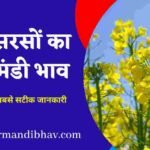 aaj ka sarso ka bhav, आज सरसों, सरसों तेल, खल, कच्ची घानी सभी मंडियों का ताजा भाव,