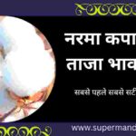 aaj narma kapas ka bhav: नरमा कपास 8 जनवरी 2023 ताजा भाव