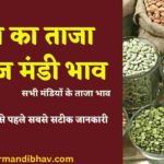 Anaj Mandi Bhav: ग्वार सरसों गेहूं चना तिल नरमा कपास मुंग मोठ जौ आदि सभी फसल के ताजा भाव