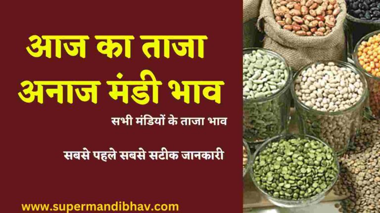 Anaj Mandi Bhav: ग्वार सरसों गेहूं चना तिल नरमा कपास मुंग मोठ जौ आदि सभी फसल के ताजा भाव