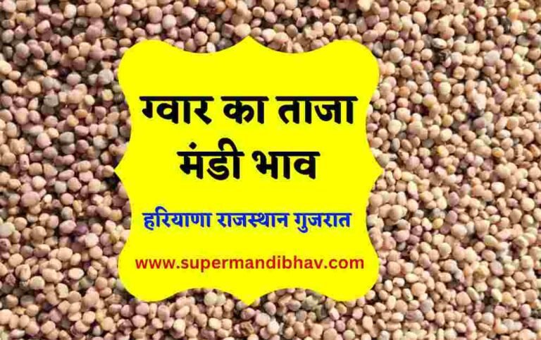 , gwar ka bhav today. Guar Price Today। Ncdex ग्वार भाव