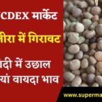 ग्वार गम जीरा में गिरावट, सोना चांदी में उछाल देखें वायदा भाव,ncdex live guar gum