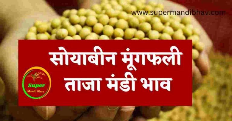 सोयाबीन और मूंगफली आज सभी मंडियों का ताजा भाव, soyabean ka bhav today