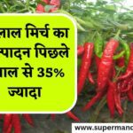 लाल मिर्च का उत्पादन भारत में पिछले साल से 35% ज्यादा, जानें पूरी रिपोर्ट 