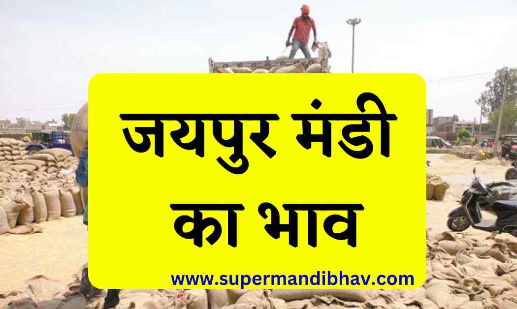 जयपुर मंडी भाव 04 अगस्त 2023 सरसों चना गेहूं ग्वार मुंग मोठ जौ तिल आदि सभी फसल का भाव (jaipur mandi bhav today