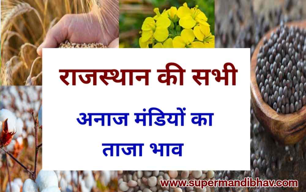 राजस्थान मंडी भाव 07 अगस्त 2023: सरसों में तेजी, ग्वार, जीरा, मुंग, मोठ, जौ, तिल आदि सभी फसल भाव, Rajasthan Mandi bhav