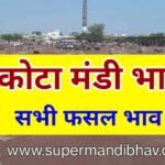 कोटा मंडी का भाव 17 जून 2023 मुंग गेहूं मक्का सरसों चना धनिया तिल्ली धान ग्वार जौ सरसों तिल आदि सभी फसल का भाव (kota mandi bhav today)