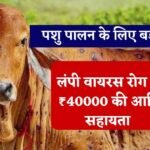 सरकार का बड़ा फैसला लंपी वायरस से गायों की मौत पर सरकार देगी ₹40000 की आर्थिक सहायता