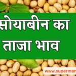 Soyabean Bhav Today आज सोयाबीन का भाव (05 अगस्त 2023 )में तेजी देखें सभी मंडी भाव