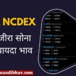 Ncdex Guar Bhav