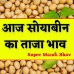 Today Soyabean Rate