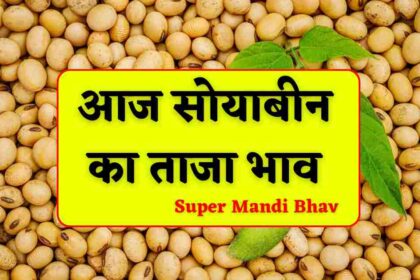 Today Soyabean Rate