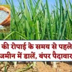 Fertilizer For Onion Planting