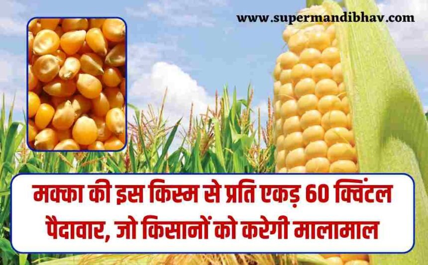 Maize variety ADV-757