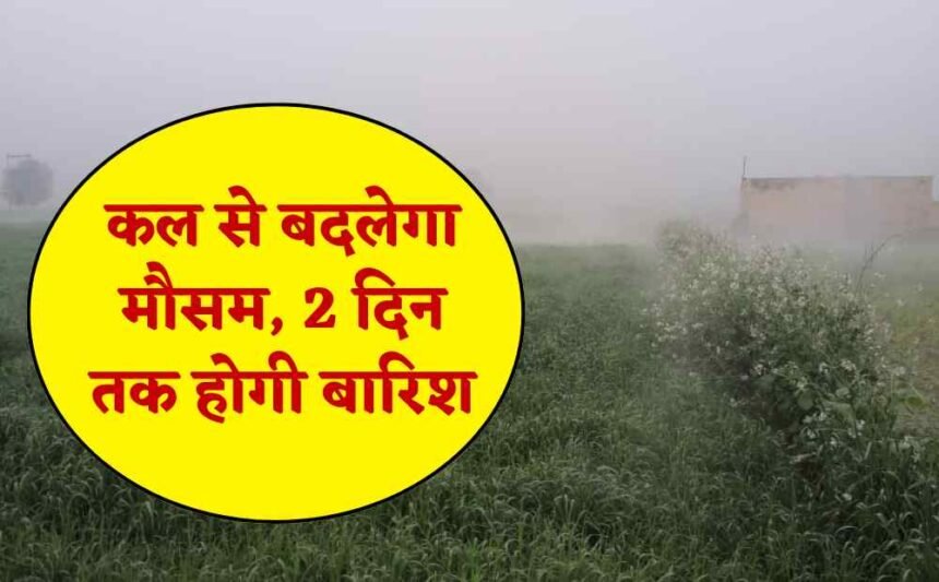 Haryana Weather Update