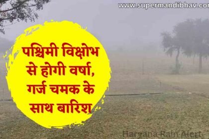 Haryana Weather Update