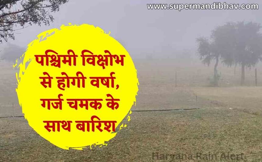 Haryana Weather Update