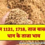 Dhan Mandi Rate