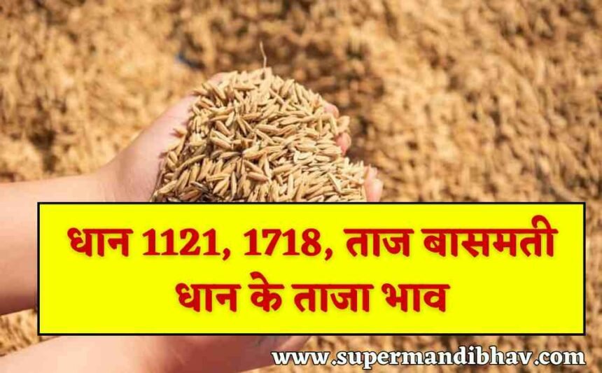 Dhan Mandi Rate