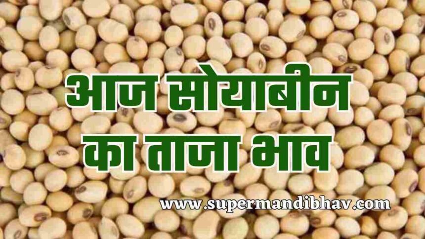 Soyabean Ka Taja Rate