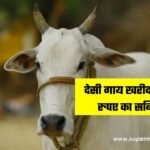 Desi Cow Purchase Subsidy