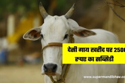 Desi Cow Purchase Subsidy