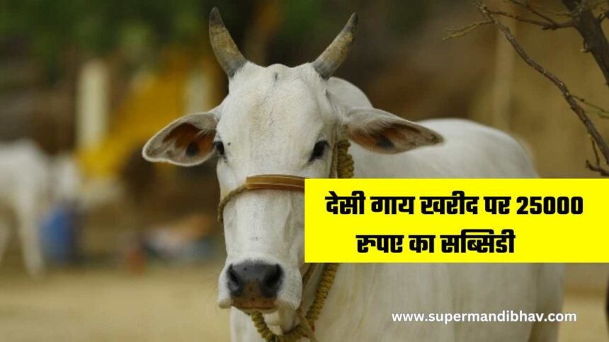 Desi Cow Purchase Subsidy